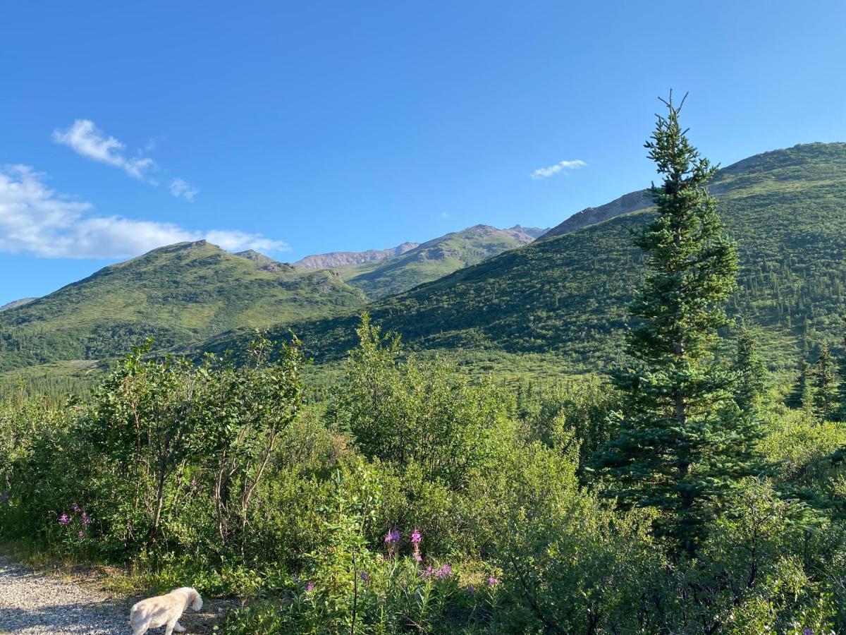Denali Rv Park & Motel Healy Buitenkant foto